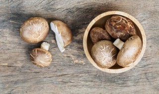 新鲜香菇怎么长期保鲜存放 新鲜香菇的保存方法