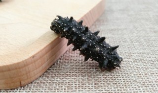 泡发海参怎么吃 泡发海参的吃法