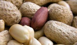 花生放久了还能吃吗 花生放久了还可以食用吗