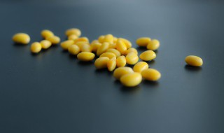 新鲜黄豆怎么长期保鲜 如何保存黄豆