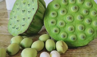 新鲜莲蓬煮水怎么做 新鲜莲蓬煮水如何制作