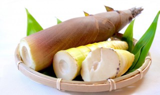 新鲜的竹笋怎么长期保鲜 新鲜的竹笋如何长期保鲜