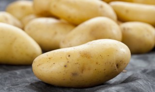 土豆煮多久会软 土豆煮多长时间能熟
