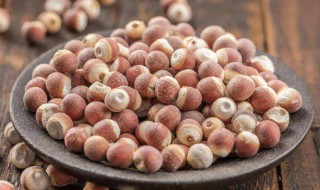 茨实煮多久 芡实一般煮多长时间
