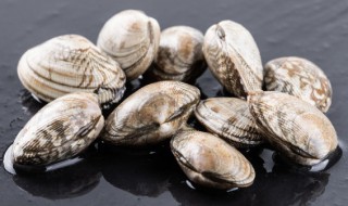 花蛤煮多久 花蛤一般煮几分钟能熟