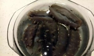 新鲜盐渍海参怎么泡发 新鲜盐渍海参如何泡发