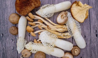 竹荪煮多久 美味的竹荪煮多久时间