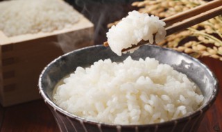 煮米要煮多久 煮米要煮多长时间才能熟
