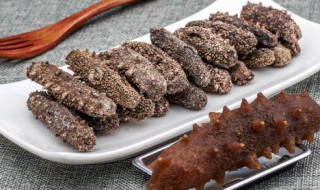 干干海参怎么泡发 干海参的泡发方法介绍