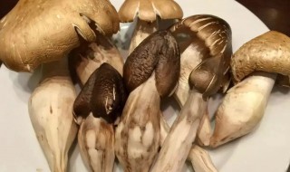 鸡枞煮多久 鸡枞菌要煮多久才能吃