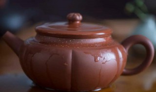 紫砂壶开壶煮多久 紫砂壶开壶煮多长时间