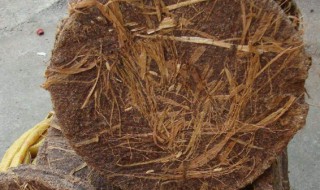 茶麸煮多久 茶麸需要煮多长时间呢