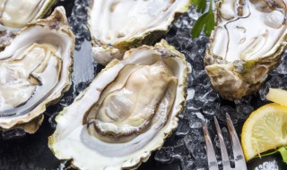 干生蚝怎么泡发 干生蚝泡发的技巧