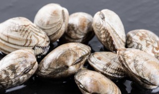 文蛤煮多久 文蛤煮多久可以熟
