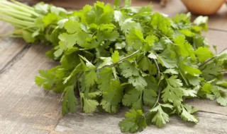 香菜煮多久 香菜煮熟需要的时间