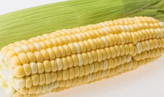 甜玉米要煮多久 煮甜玉米多长时间能熟