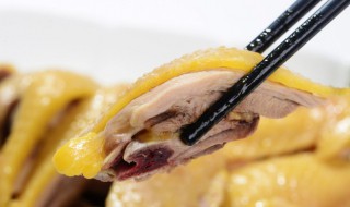 鸡肉用瓦锅炖多久会熟 瓦锅炖鸡肉的做法