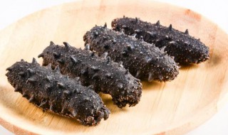 干海参泡发后怎么吃 干海参泡发后如何食用