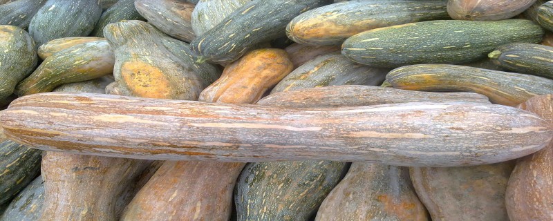 南瓜需要蒸多久才能熟