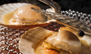 鲜贝煮多久 新鲜仙贝煮多长时间为好