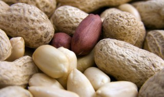 带壳花生煮多久 带壳花生需要煮多长时间呢