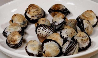 毛蛤煮多久 毛蛤需要煮多长时间呢