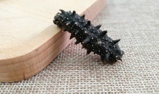 鲜海参怎么泡发 鲜海参正确泡发方法