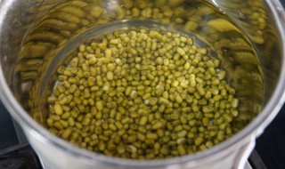 绿豆煮多久 绿豆煮多长时间