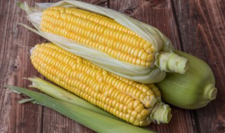 煮玉米多久能熟 煮玉米多长时间能熟呢