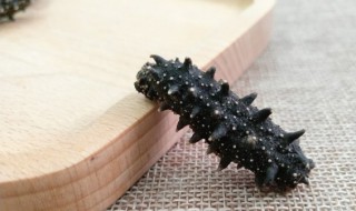 自己在家怎么泡发海参 如何泡发海参