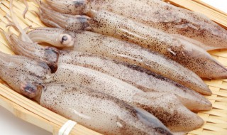 干乌贼怎么做好吃法 干乌贼的做法