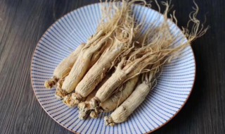 白参煮多久 白参需要煮多长时间呢