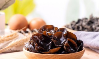 木耳煮多久熟 木耳煮多长时间才能熟