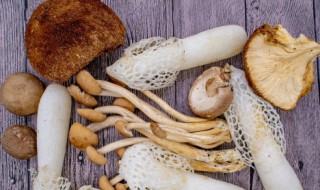 鸡纵菌煮多久不会中毒 鸡枞菌要煮多久才能吃