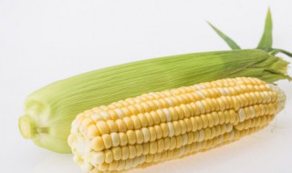 老玉米煮多久 老玉米需要煮多长时间呢