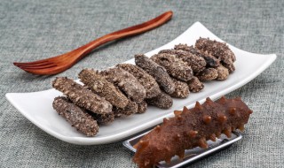 怎么样泡发干海参 干海参如何泡发