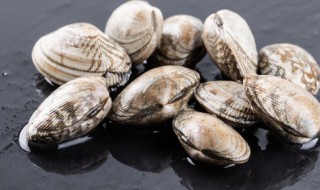 干哈利肉怎么做好吃 干蛤蜊肉如何煮好吃