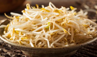 微波炉可以煮豆芽吗 微波炉能不能煮豆芽呢