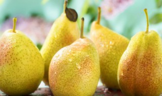 梨子干怎么做好吃 梨子干如何做