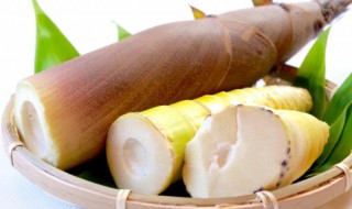 鲜笋怎样速冻保存好吃又新鲜 新鲜笋怎么冷冻保存