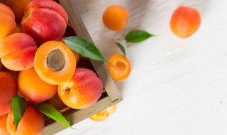 新鲜杏煮水果怎么做的好吃 新鲜杏煮水果茶的方法