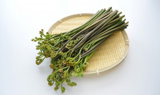 山蕨菜干怎么做好吃 山蕨菜干如何做好吃