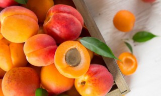 新鲜杏煮水果怎么做吃的 新鲜杏煮水果如何做吃的