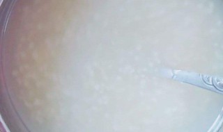 微波炉可以煮稀饭吗 微波炉能不能煮稀饭呢