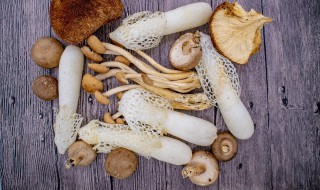 干煸海鲜菇怎么做好吃 怎么做干煸海鲜菇好吃