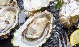 大蚝干怎么做好吃 大蚝干的做法介绍