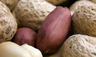 花生可以用微波炉煮吗 花生能不能用微波炉煮