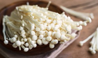 金针菇可以放微波炉煮吗 金针菇能不能放微波炉煮呢