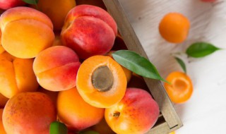 新鲜杏煮水果怎么做的吃 新鲜的杏怎么做好吃