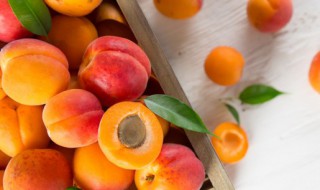 新鲜杏煮水果怎么做吃法 新鲜杏煮水果的做法
